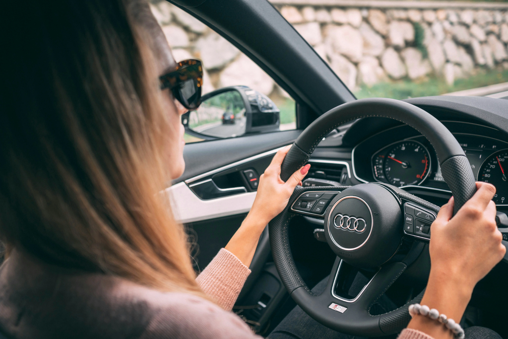 10 Essential Canadian Road Signs Every New Driver Should Know Before the Written Test